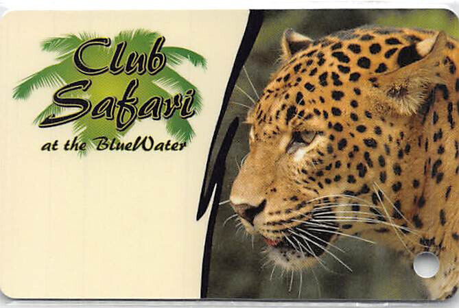 Blue Water Casino - Parker, AZ - 9th Issue Slot Card (BLANK)