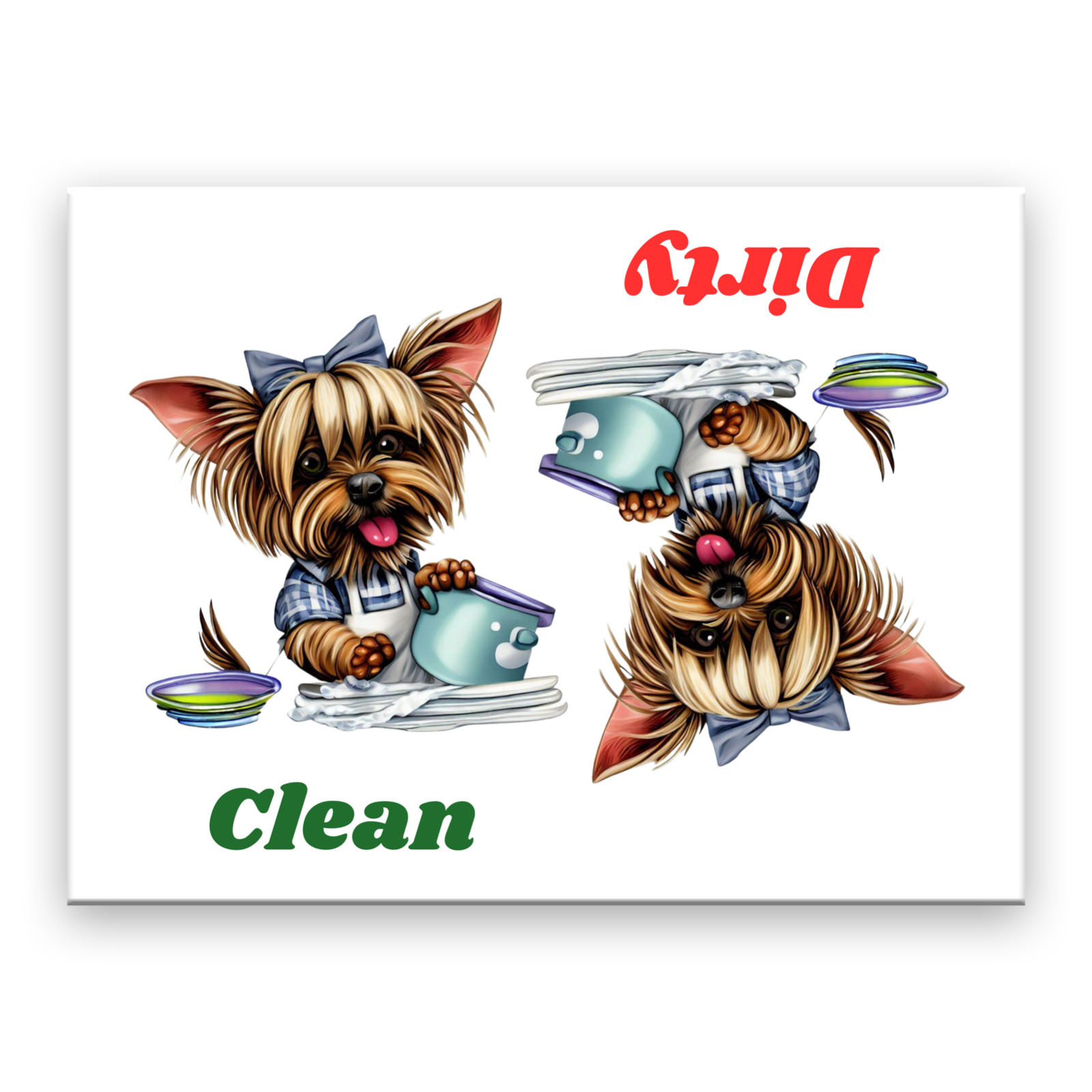 Australian Silky Terrier Clean Dirty 3 1/2\