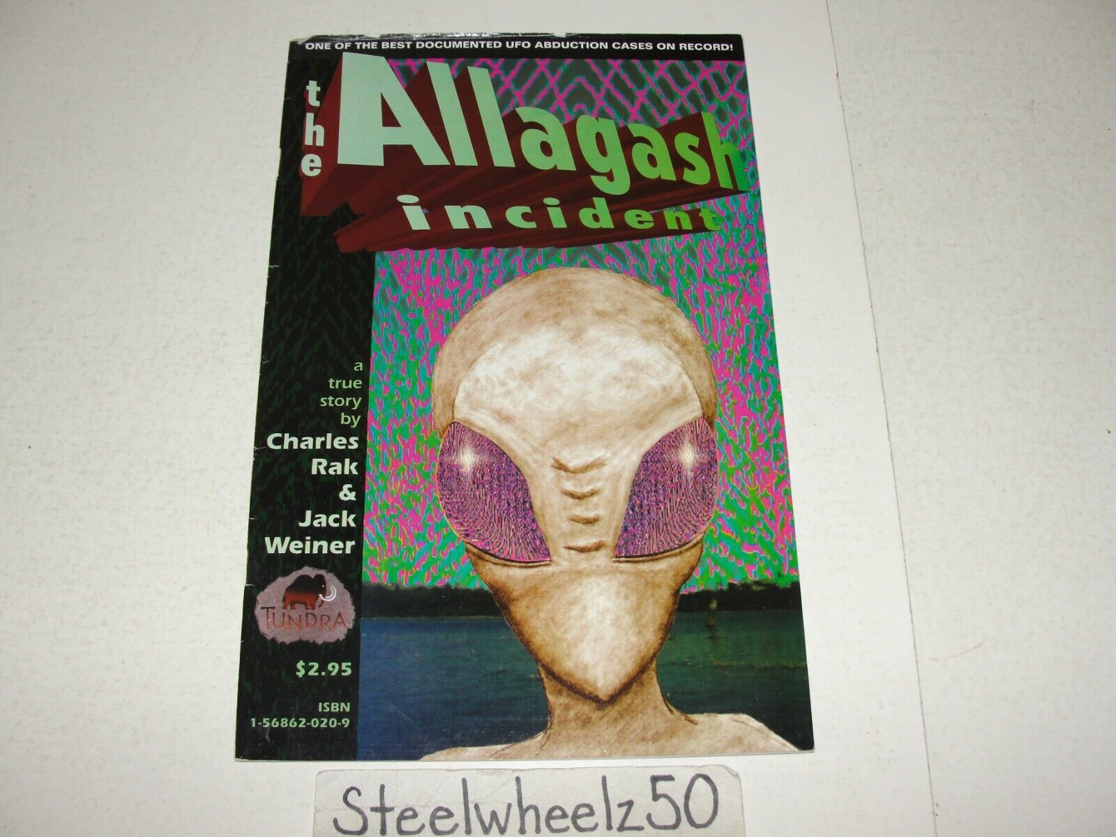 The Allagash Incident Comic 1993 Tundra UFO Alien Abduction Area 51 X-Files True