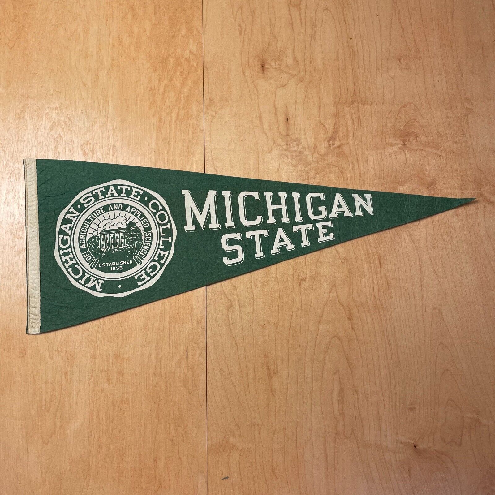 Vintage 1950s Michigan State College 12x28 Felt Pennant Flag