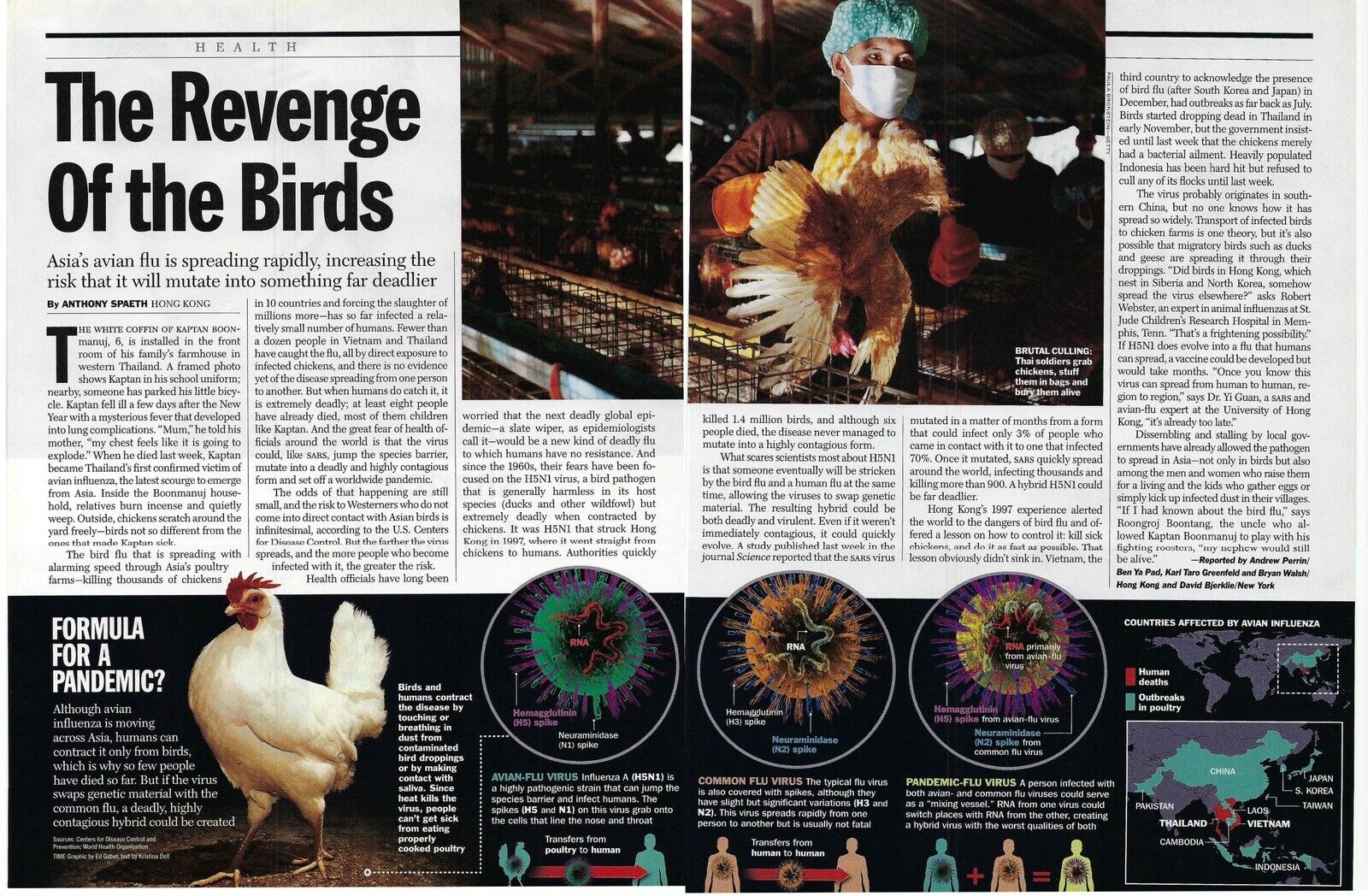2004 Time The Revenge of the Birds Avian Flu Magazine Print Ad/Poster/Article
