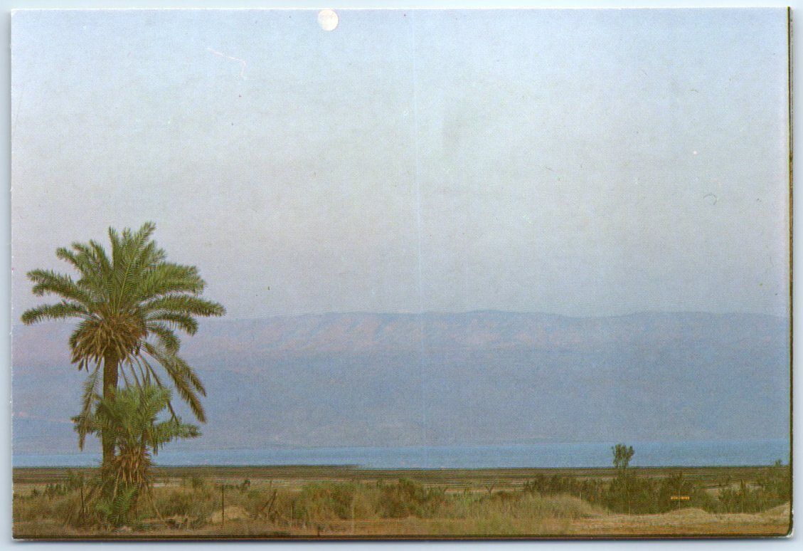 Postcard - The Dead Sea, Jericho, Palestine