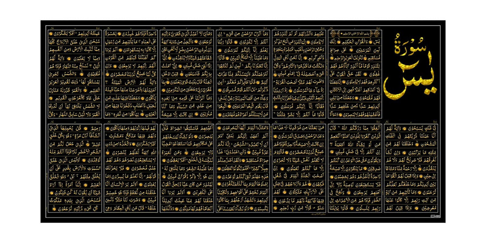 Islamic traditional Surah Yaseen Shareef Painting Without Frame 20x40 Inch Black