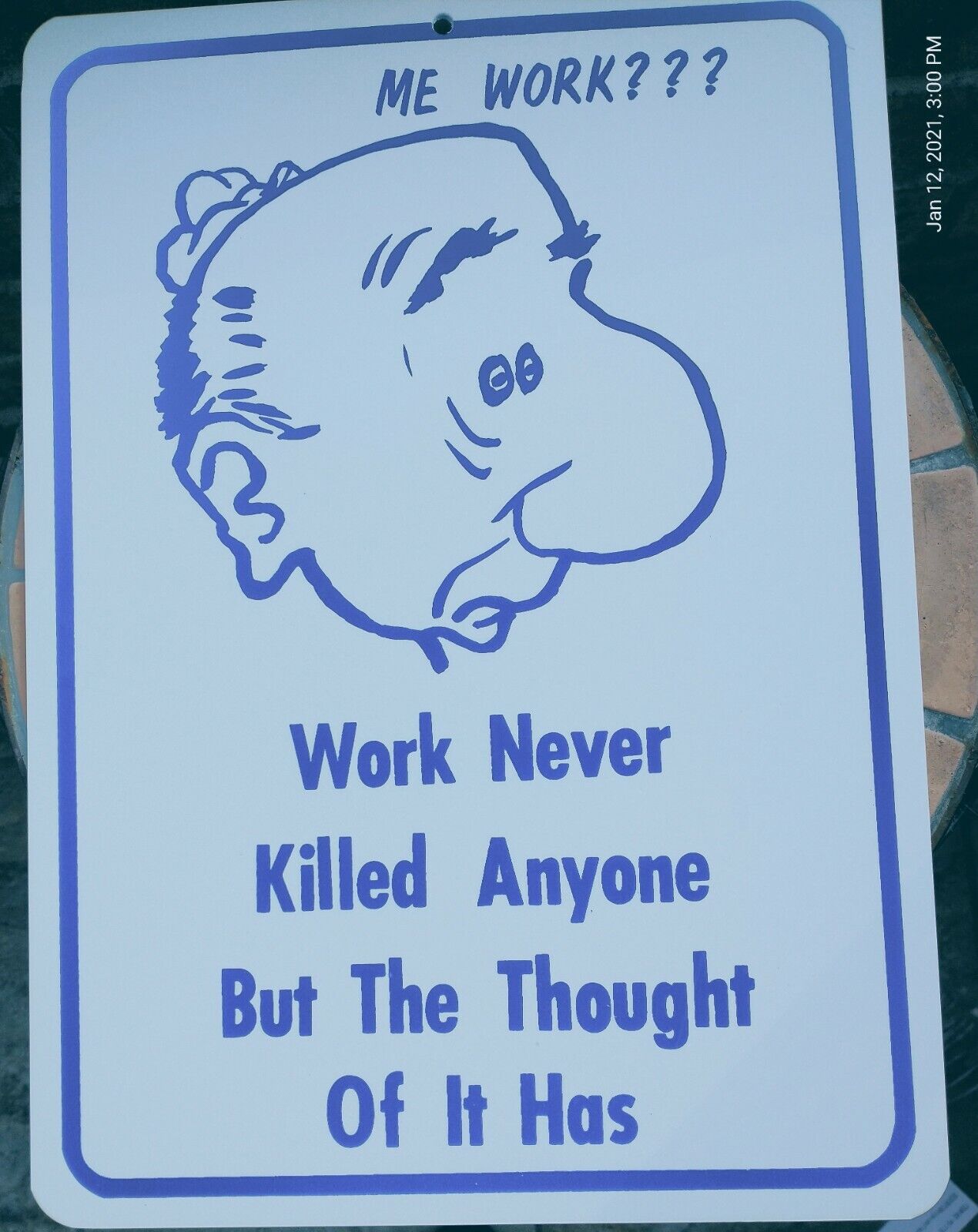 sign humorous funny Work Never killed anyone but the thought of it has