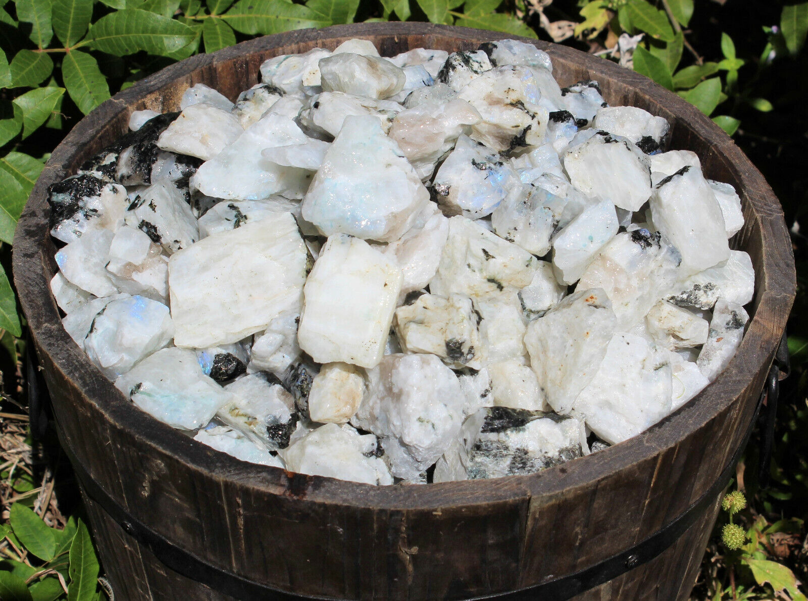 1/2 lb Bulk Lot Natural Rough Rainbow Moonstone Crystals (Raw Reiki Rocks 8 oz)