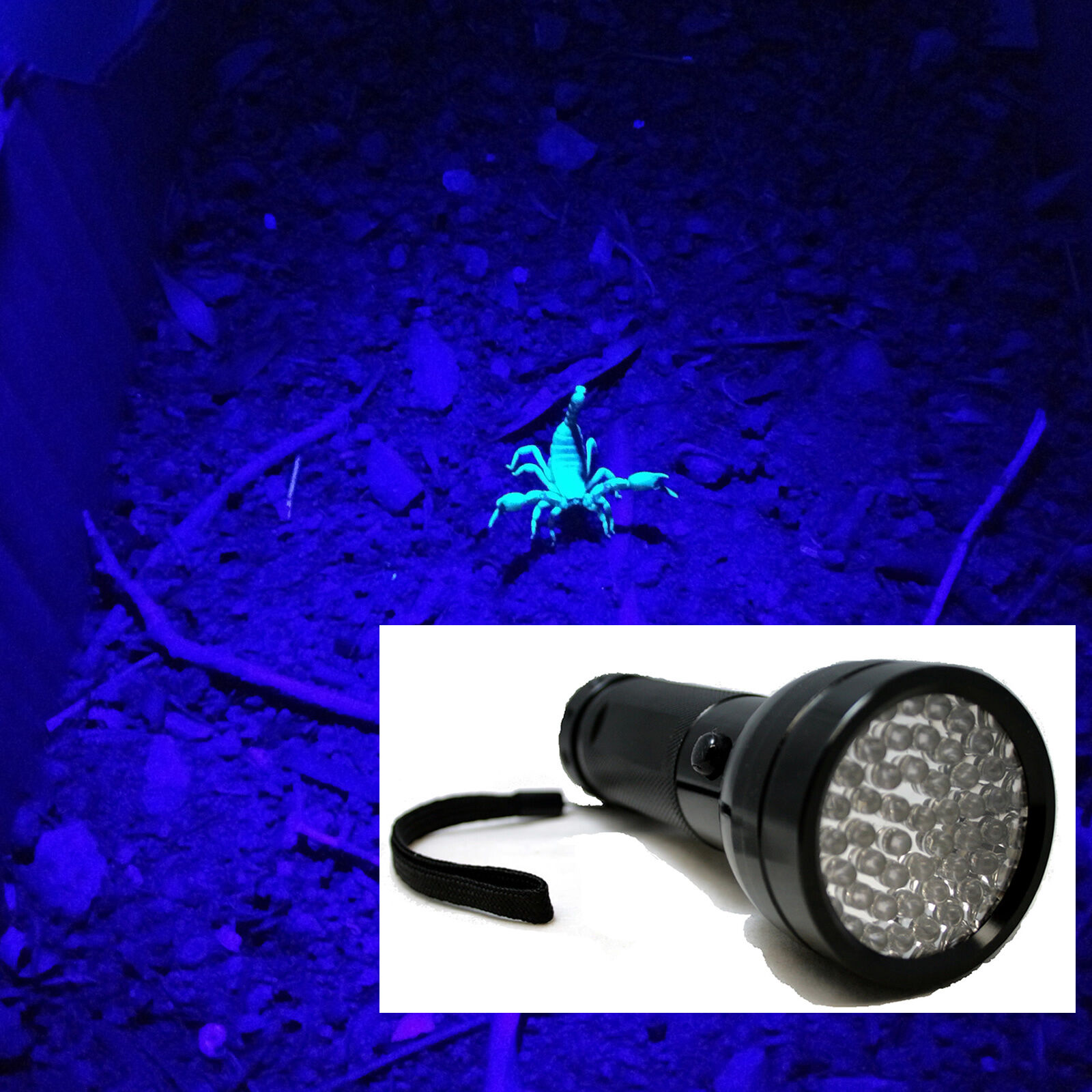 51 UV LED Scorpion Detector Hunter Finder Ultra Violet Blacklight Flashlight AA