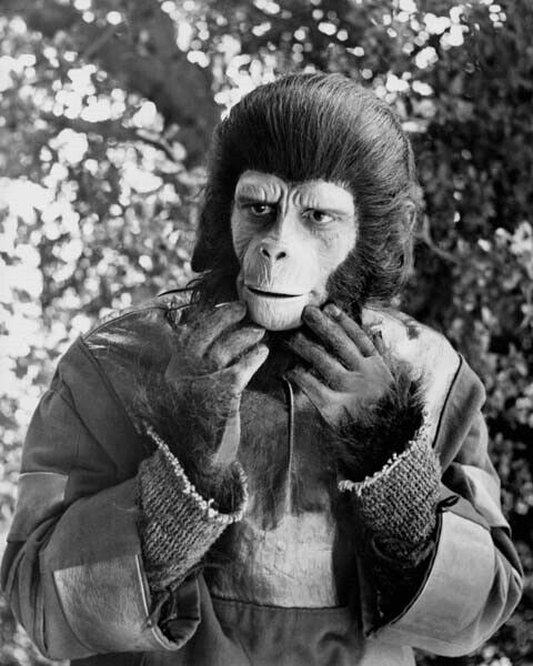 Roddy McDowall as Galen the chimpanzee 1974 Planet of the Apes TV 8x10 photo