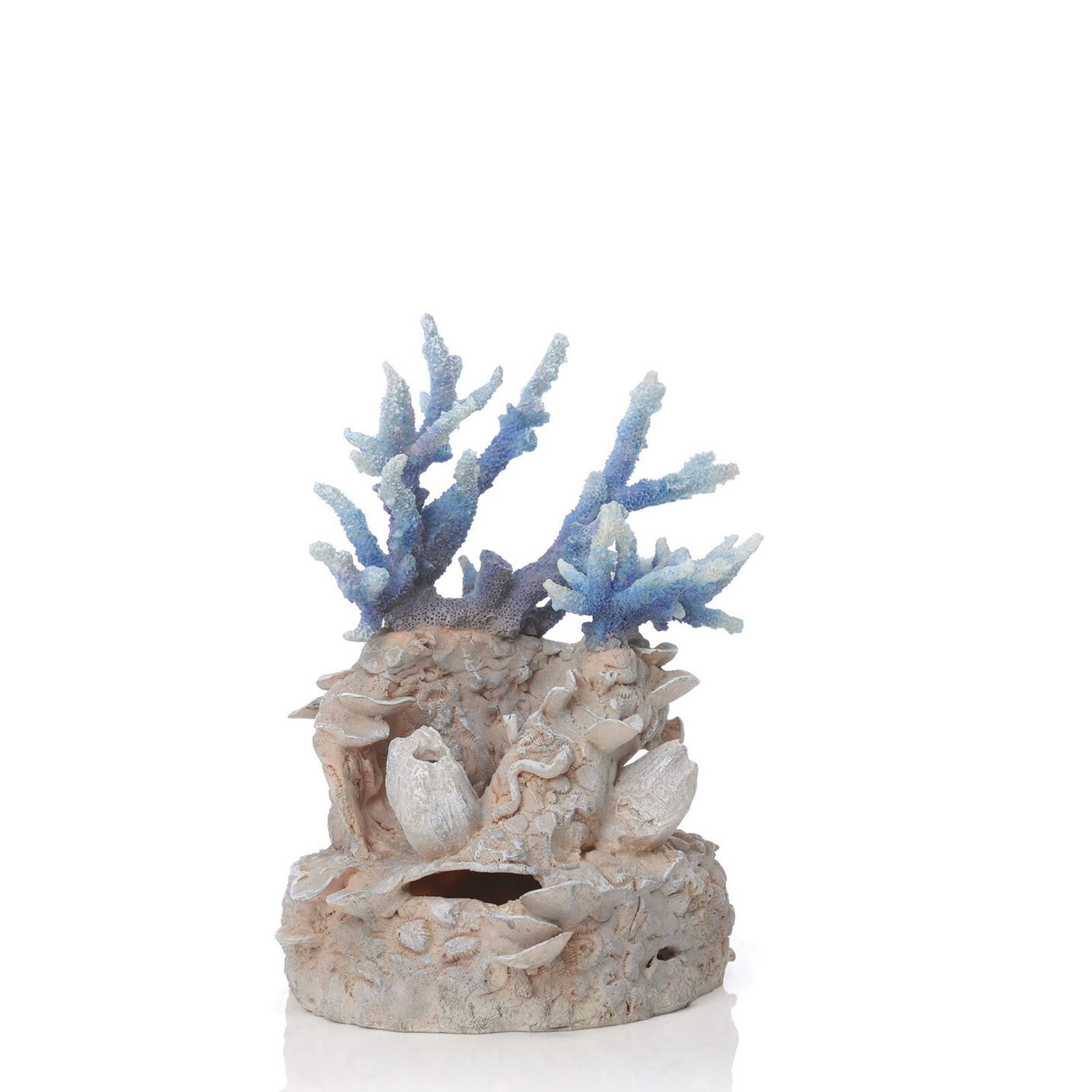Blue Coral Reef Sculpture