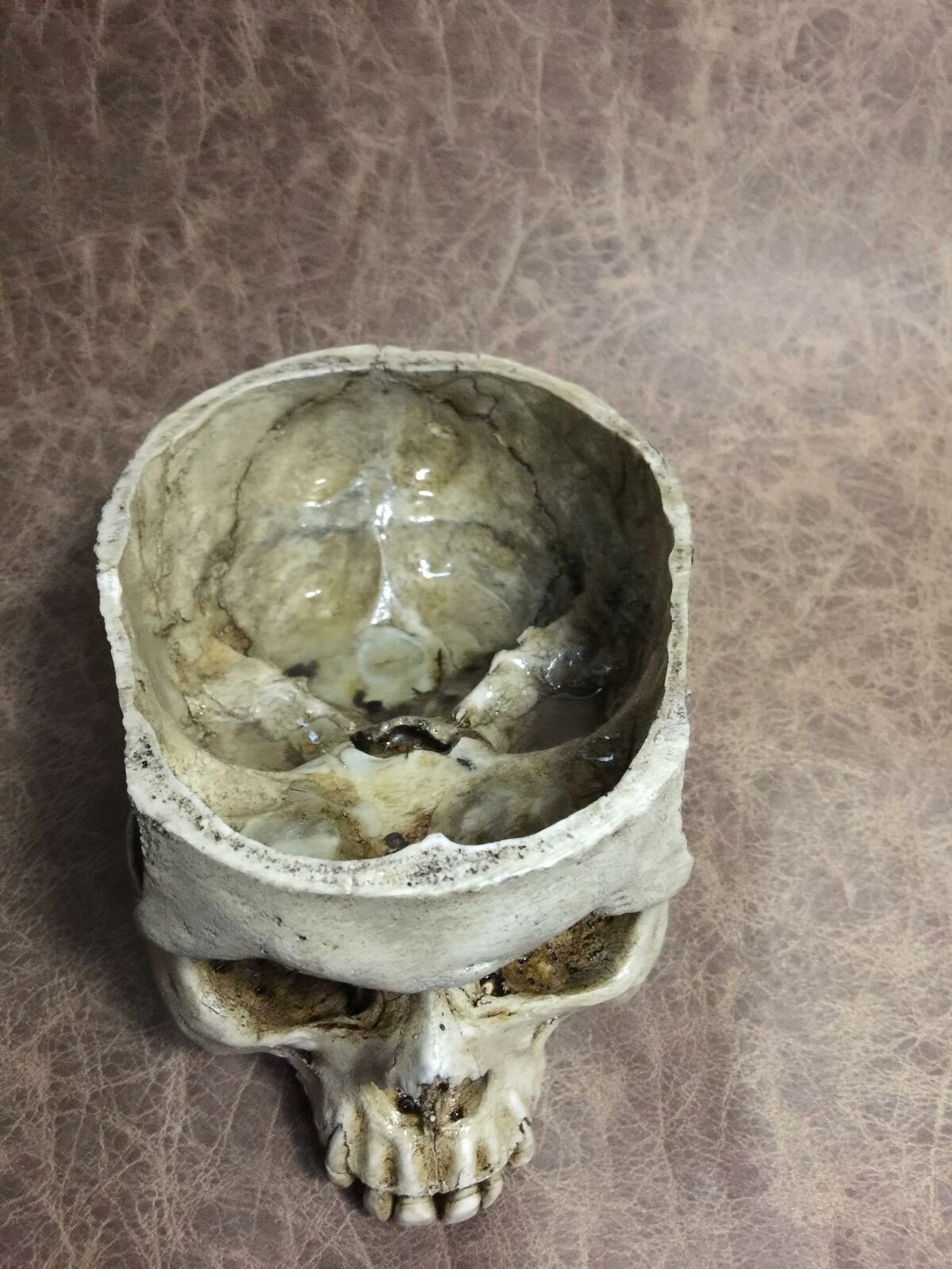 Skull Bowl - Male Real Human Skull RESIN REPLICA by Zane Wylie
