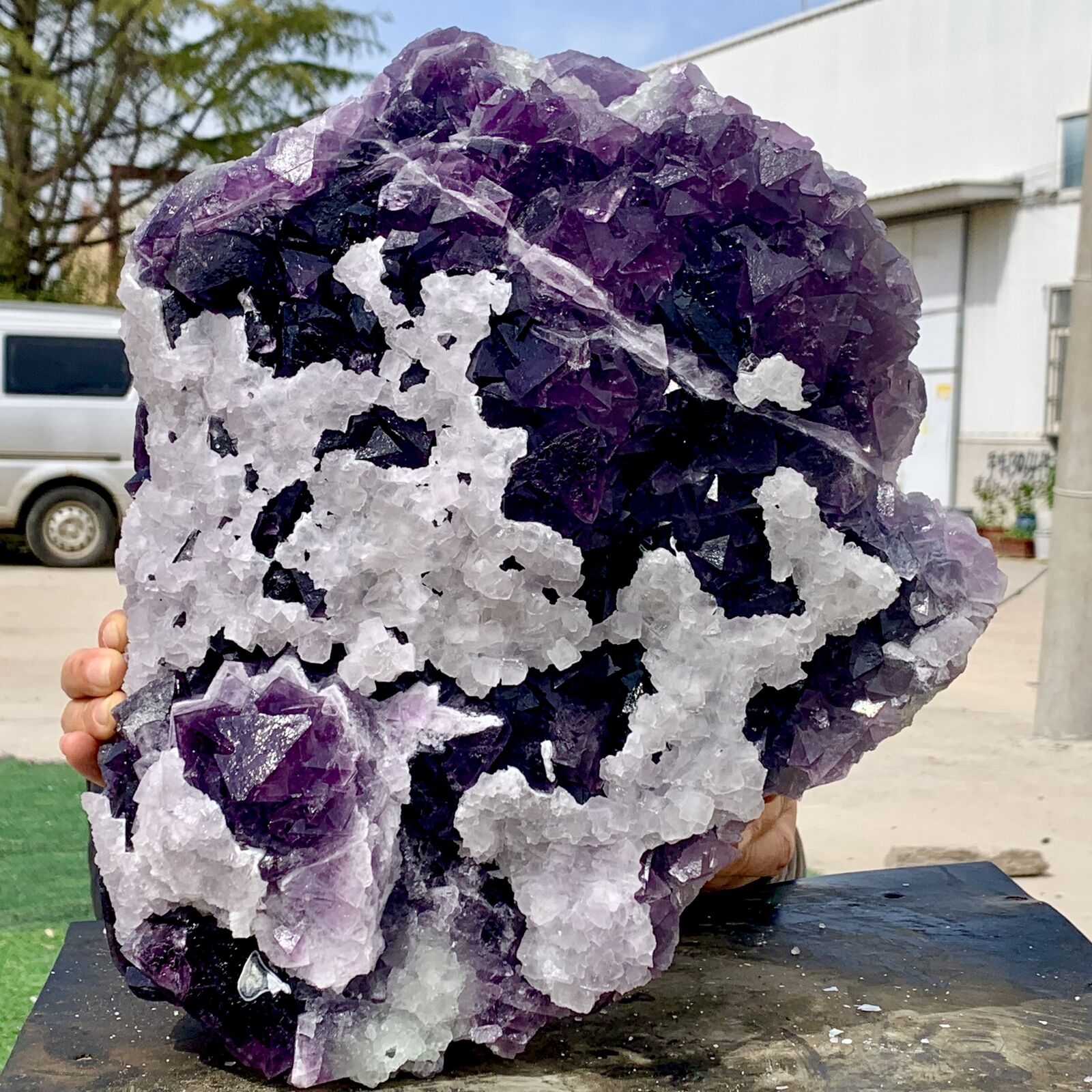 35.7LB Natural purple cubic fluorite mineral crystal sample/China