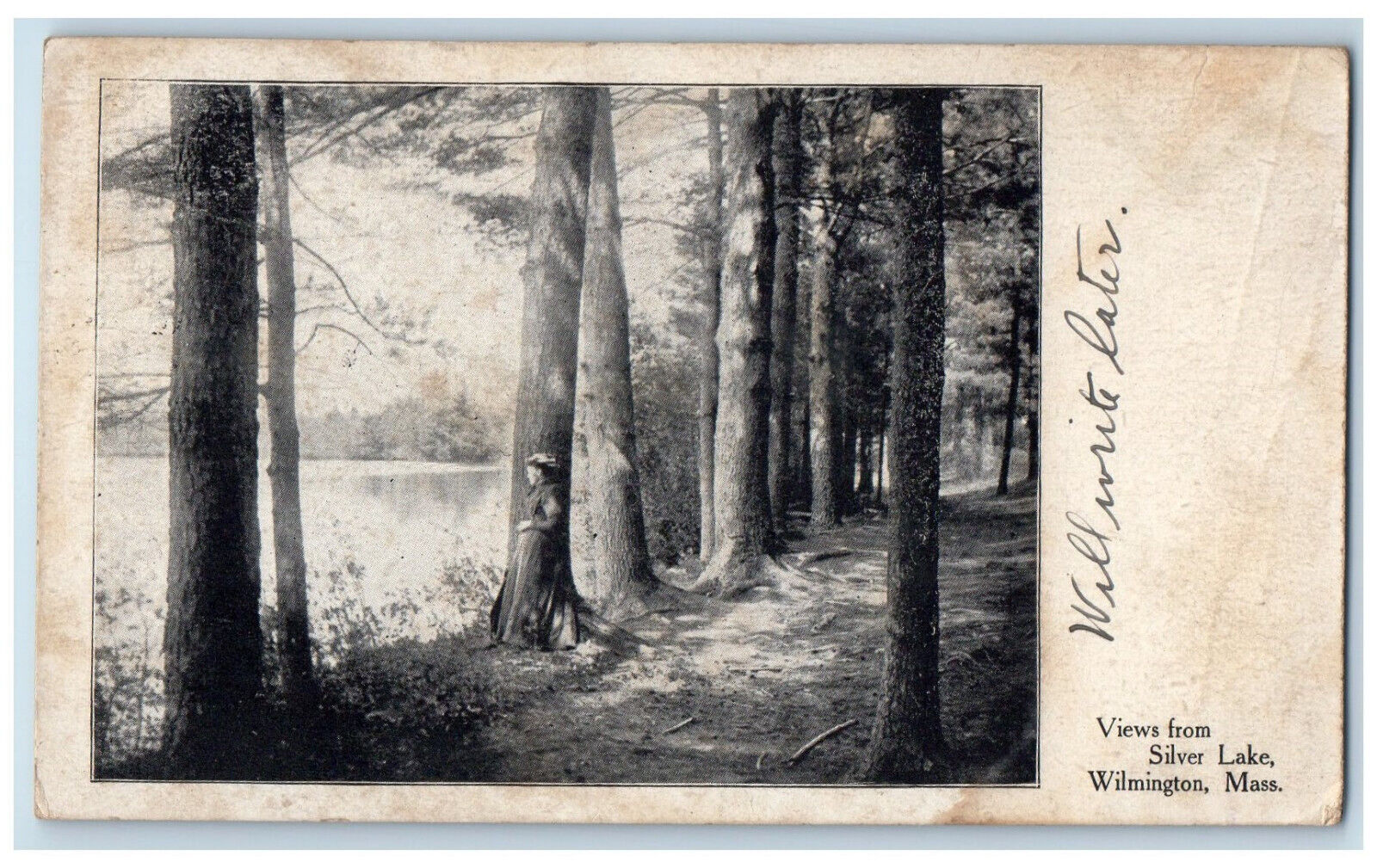 1909 Views From Silver Lake Tree-lined Wilmington Massachusetts MA Postcard