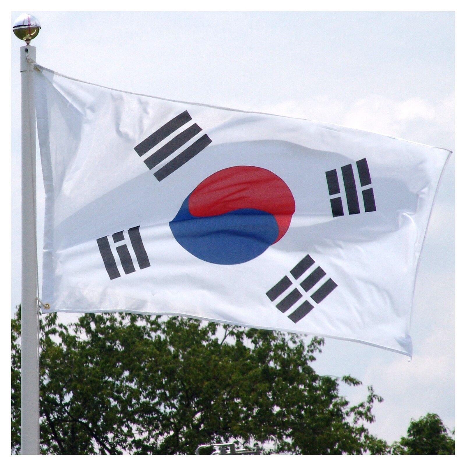 Giant South Korea National Flag