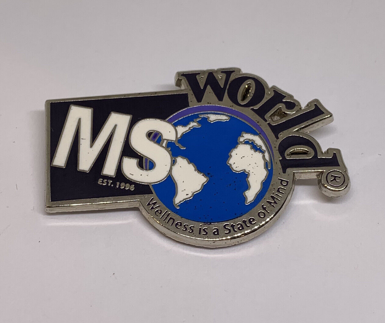 MSWorld MS World Multiple Sclerosis Wellness State Of Mind Lapel Pin ￼(16)