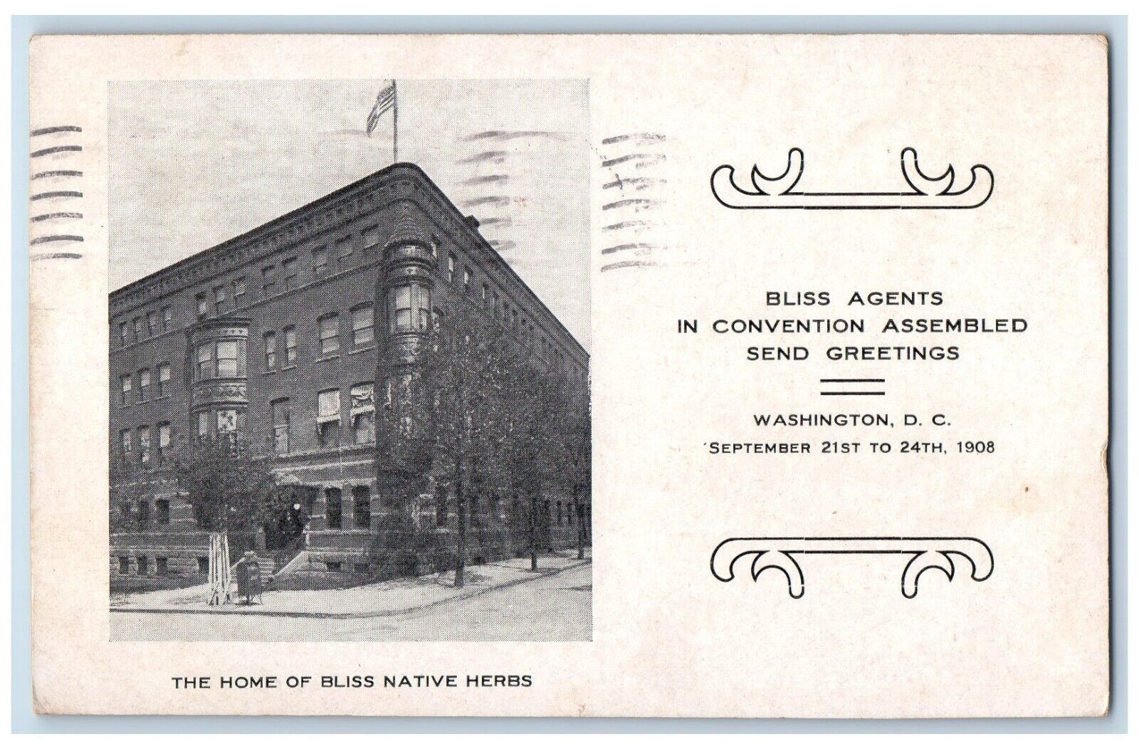1908 The Home Of Bliss Native Herbs Washington D.C. Advertising Postcard