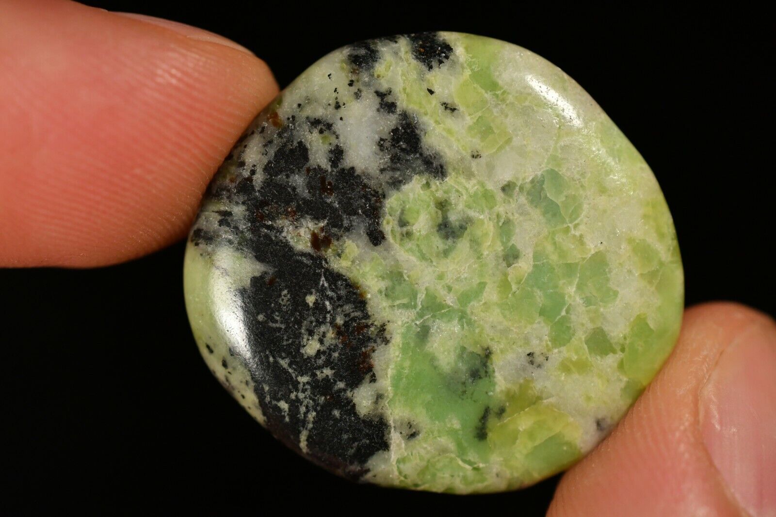 *CHINESE CHRYSOPRASE* Flat Stone 3cm 8g Palm Healing Higher Consciousness