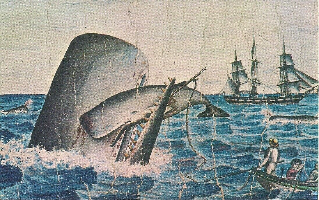 Sperm Whale Saving Baby at Sea, Ship, Whaling Museum, New Bedford MA 1960's