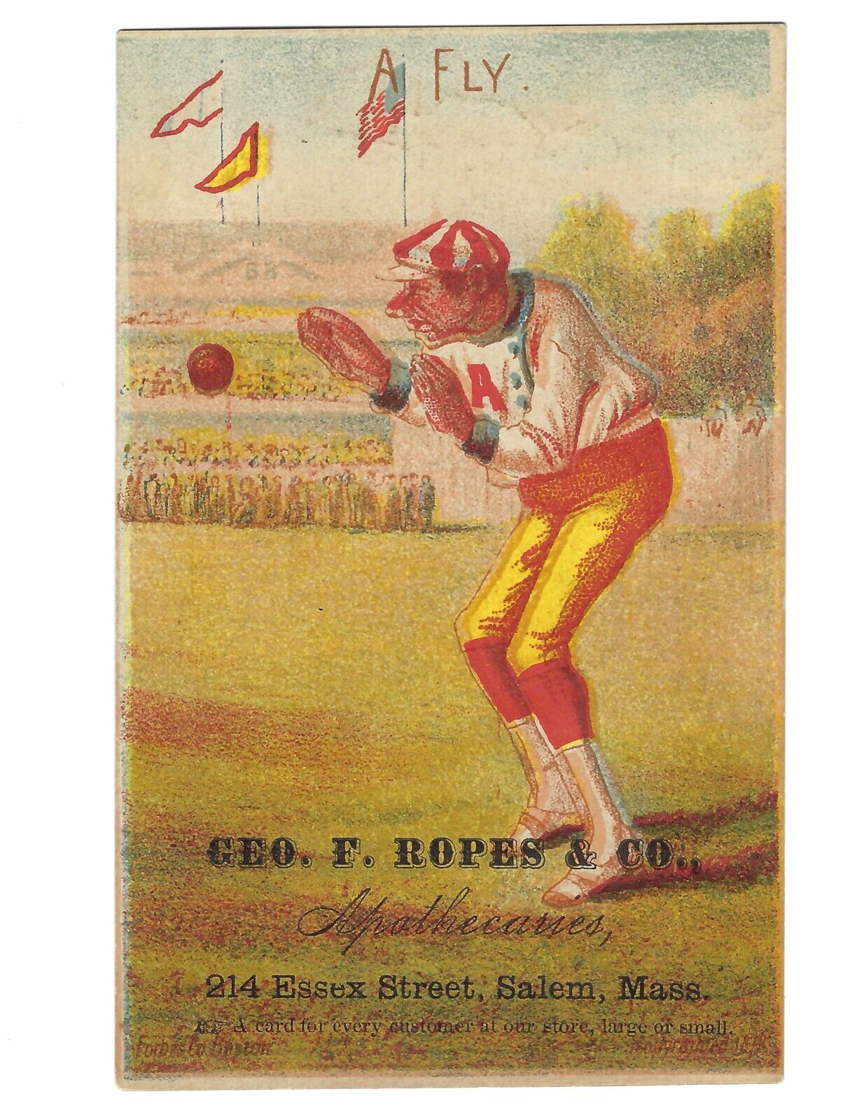 Baseball Trade Card A Fly  Trade card Geo. F. Ropes & Co., apothecaries, 1880's?