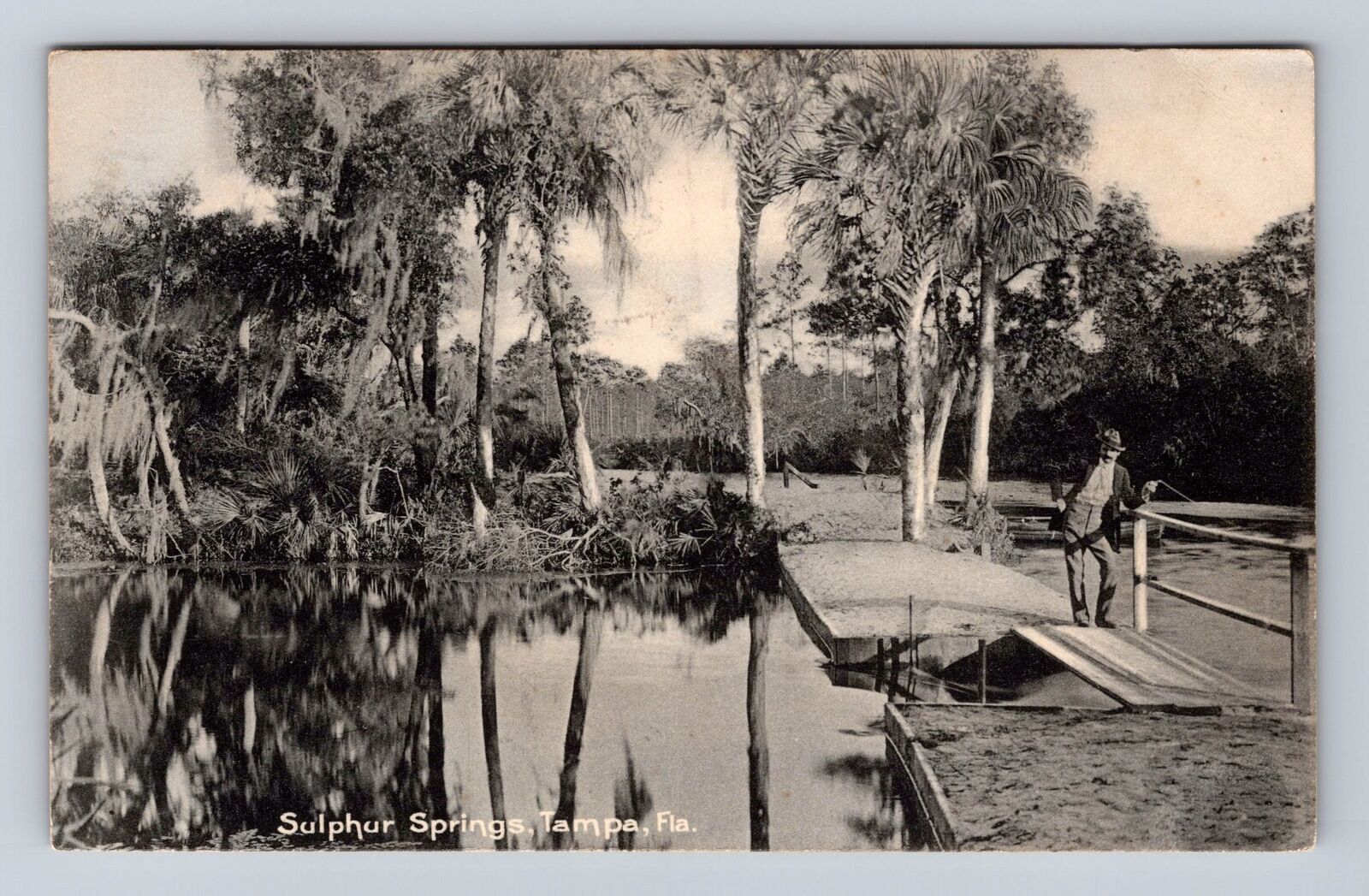 Tampa FL-Florida, Sulphur Springs, Antique, Vintage Card Souvenir c1909 Postcard