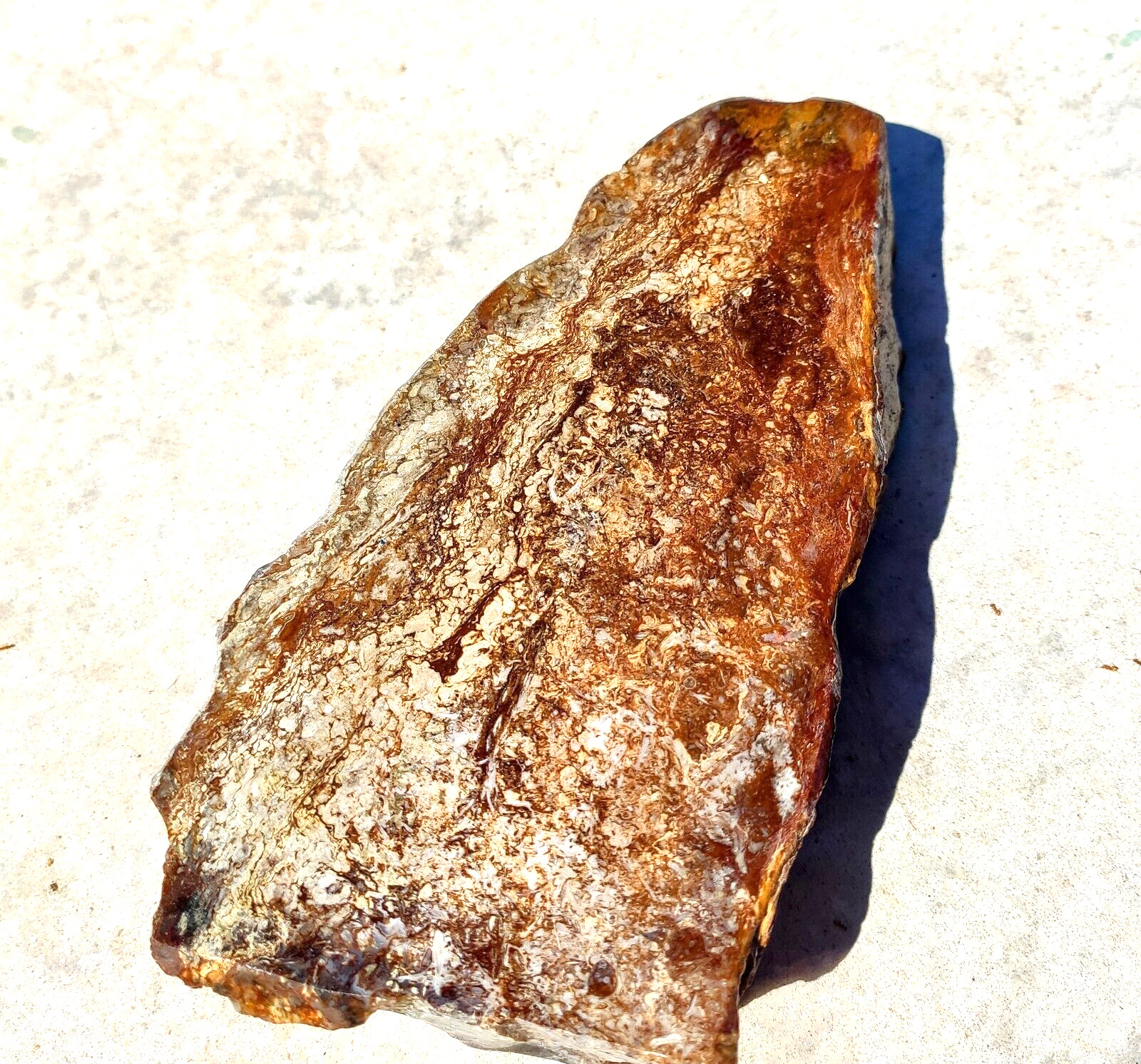 2.2 lb mojave desert stromatolite 2 side polished thick  slab 