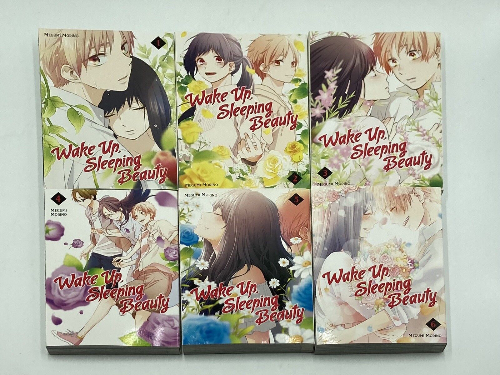 Wake Up, Sleeping Beauty Volumes 1-6 Complete Book Set English Megumi Morino