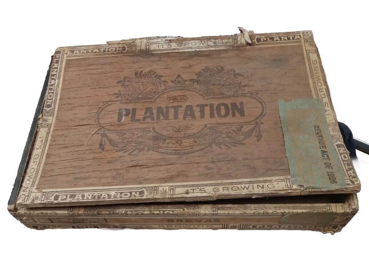 1926 Vintage Rare Cigar Box Wood Plantation blooms five cents Cigars. Bxd