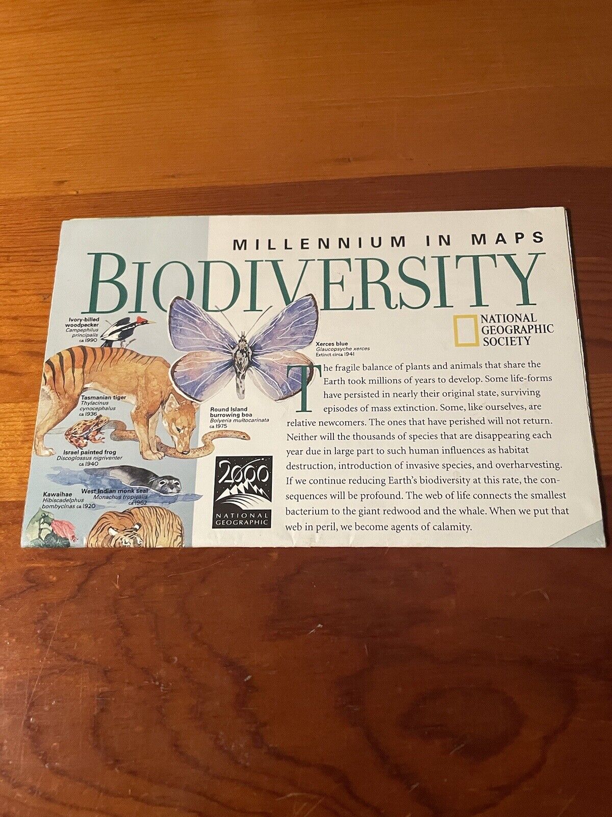Vintage Millenium In Maps: Biodiversity National Geographic Map *GOOD CONDITION*