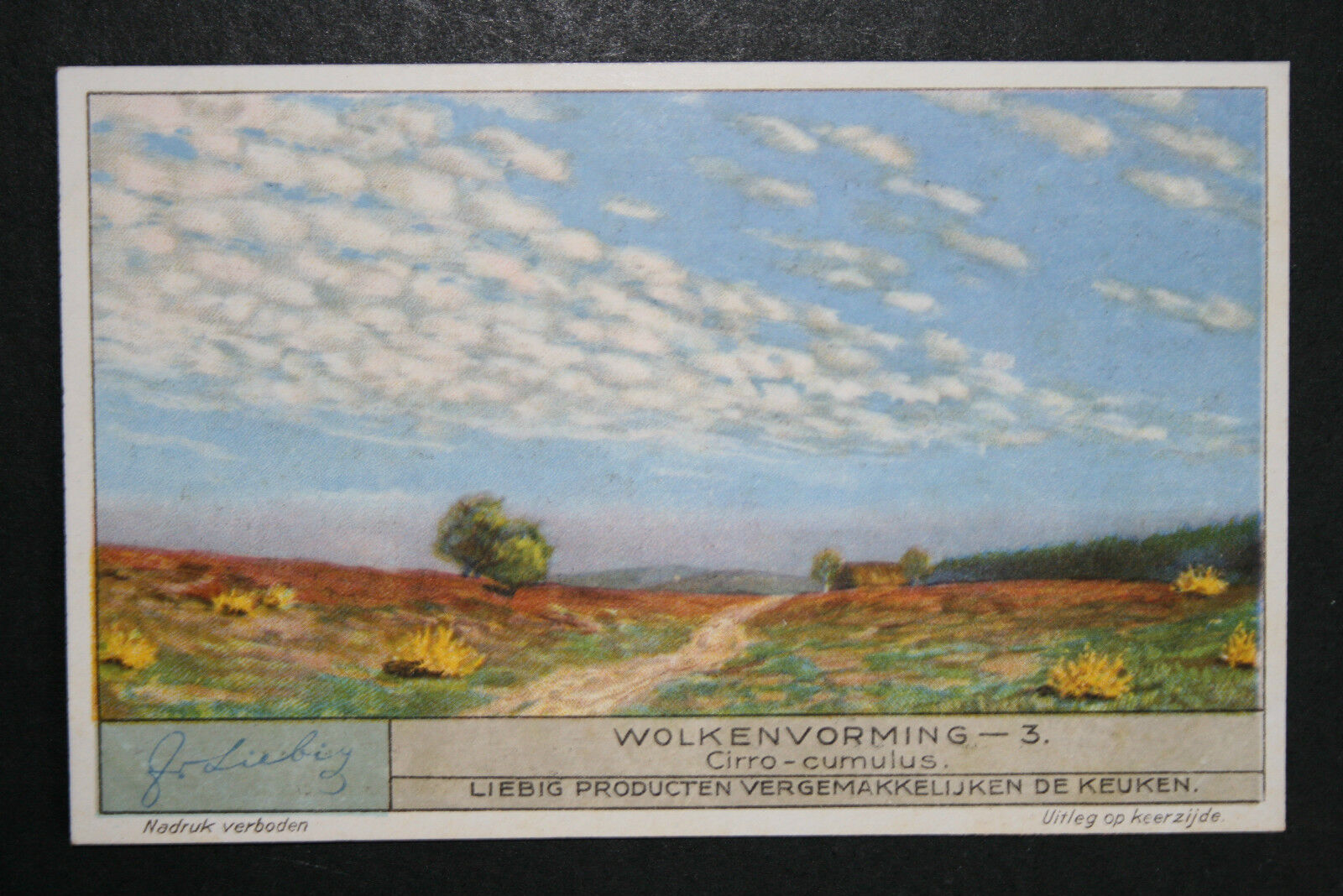 CIRRO-CUMULUS  Cloud Formation   Vintage Illustrated Card  WC26