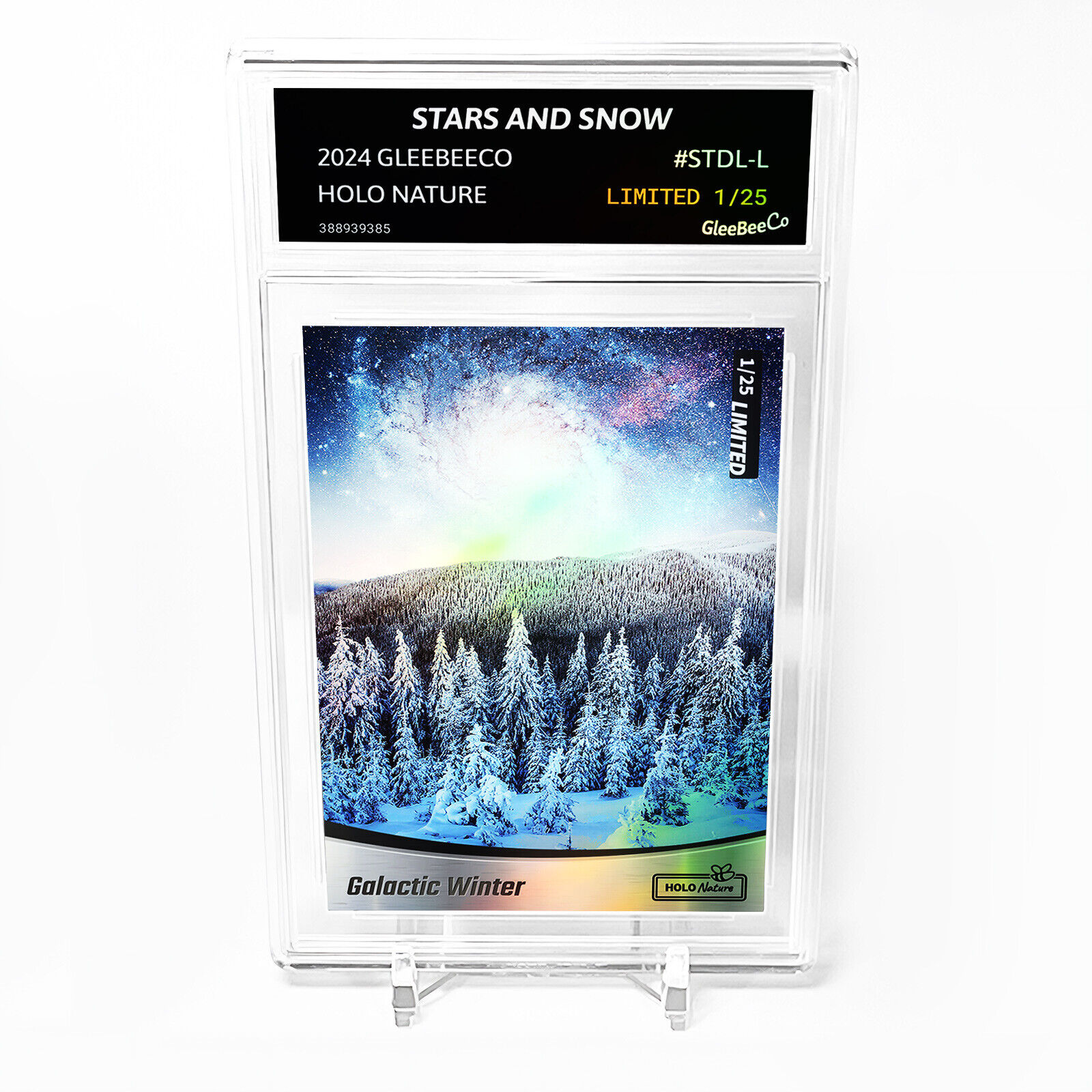 STARS AND SNOW Photo Card 2024 GleeBeeCo Holo Nature Slabbed #STDL-L /25