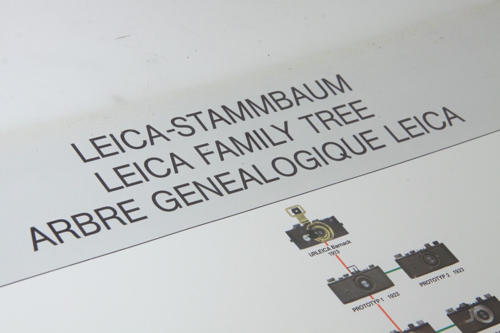 VINTAGE LEICA CAMERA FAMILY TREE Poster LEITZ 1913 - 1979 COLOR SPECIAL PRINT