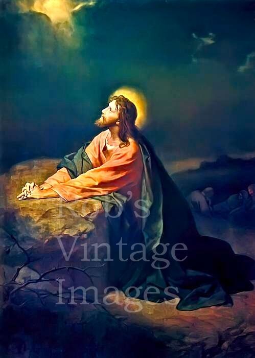 Jesus Christ in the Garden of Gethsemane Sacred picture of the Savior Poster