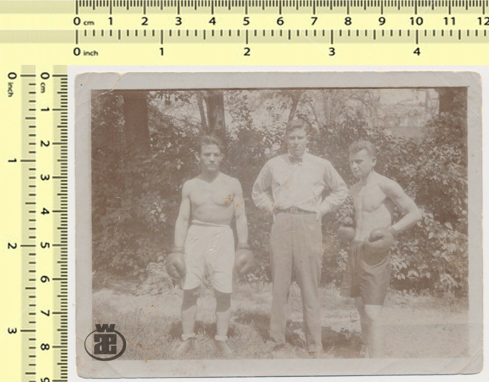 #071 1920\'s Boxing Match Muscular Men Beefcake Guys Judge Boxers vintage photo