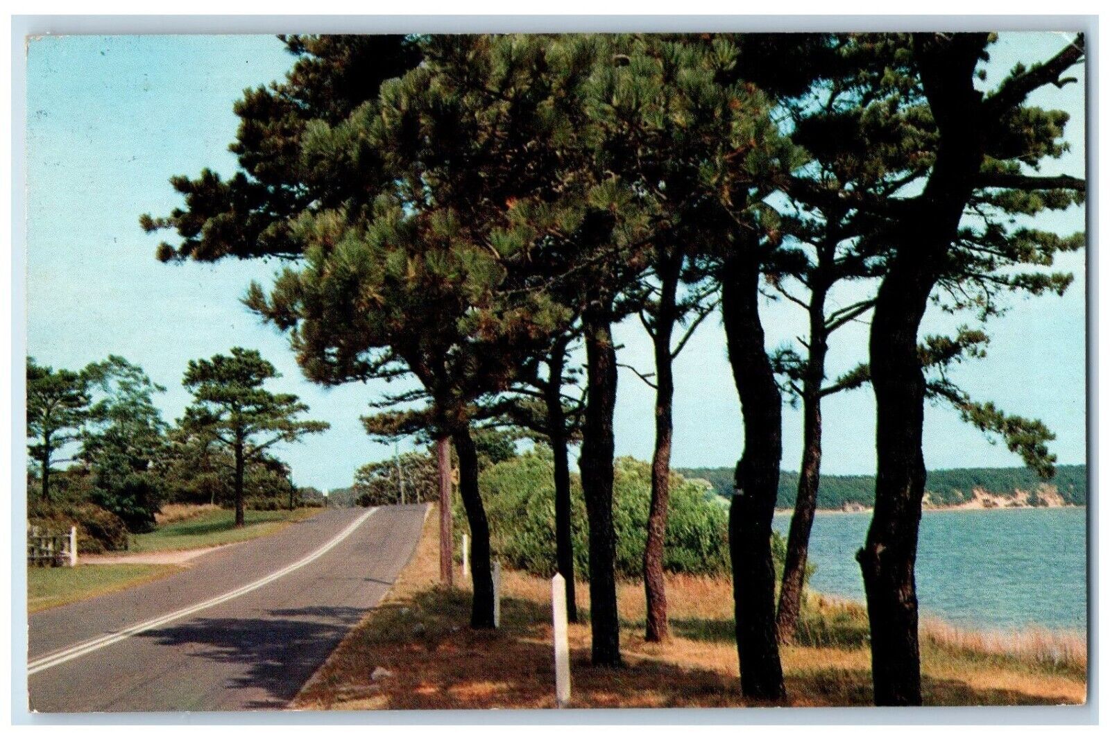 1960 Along The Highway Whipholt Minnesota MN, Sea View Posted Vintage Postcard