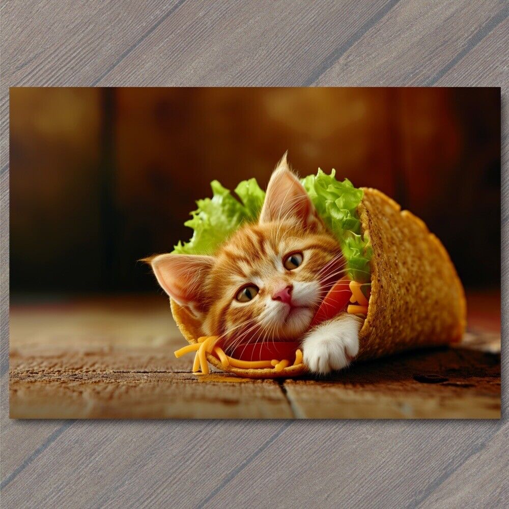 POSTCARD Taco Cat Palindrome TACOCAT Funny Cute Kitten Hard Shell Adorable