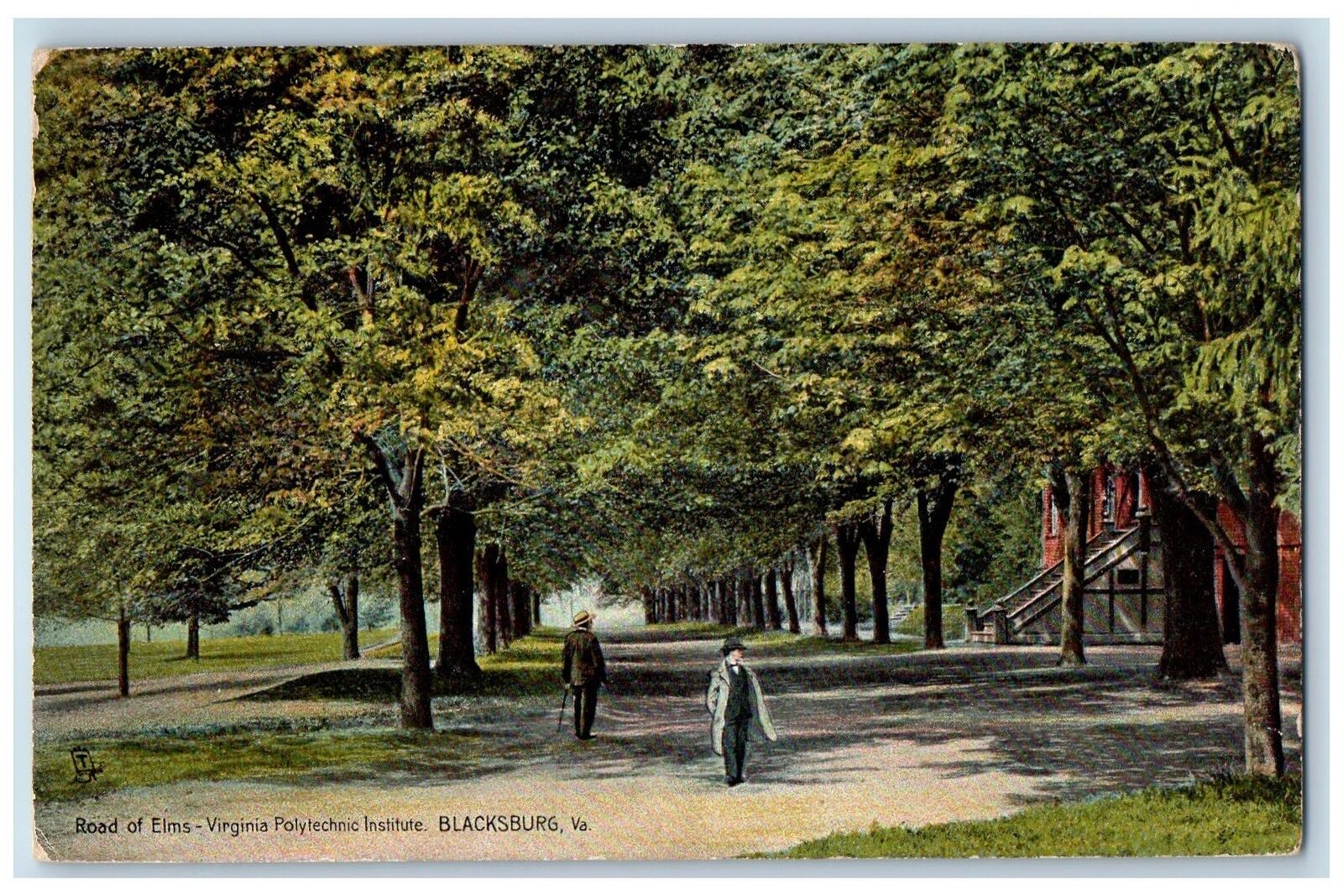 Blacksburg Virginia VA Postcard Road Of Elms-Virginia Polytechnic Institute 1913