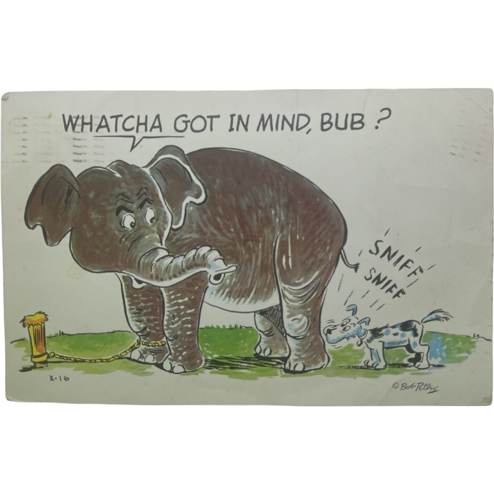 Bob Petley Laff Card Whatcha Got In Mind Bub Elephant Dog Chrome Postcard 1955