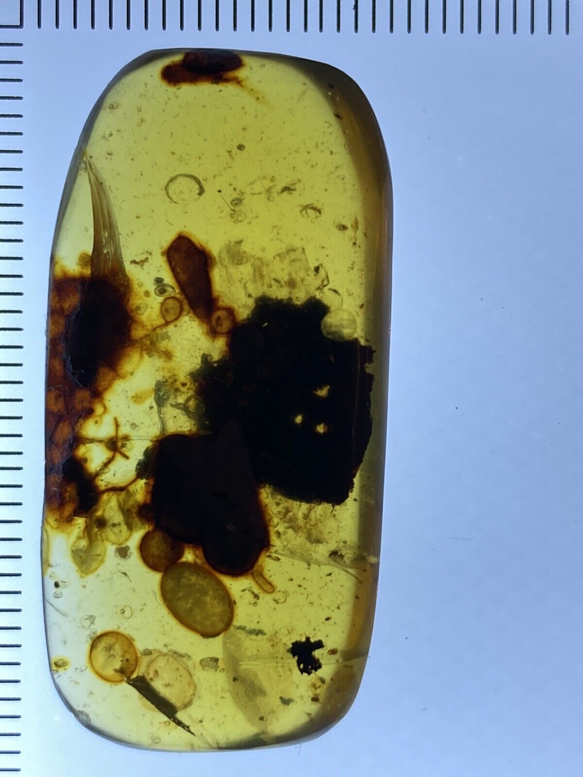 Unique Unknown Beautiful Prehistory In Rare Fossil, Genuine Burmite Amber 98myo