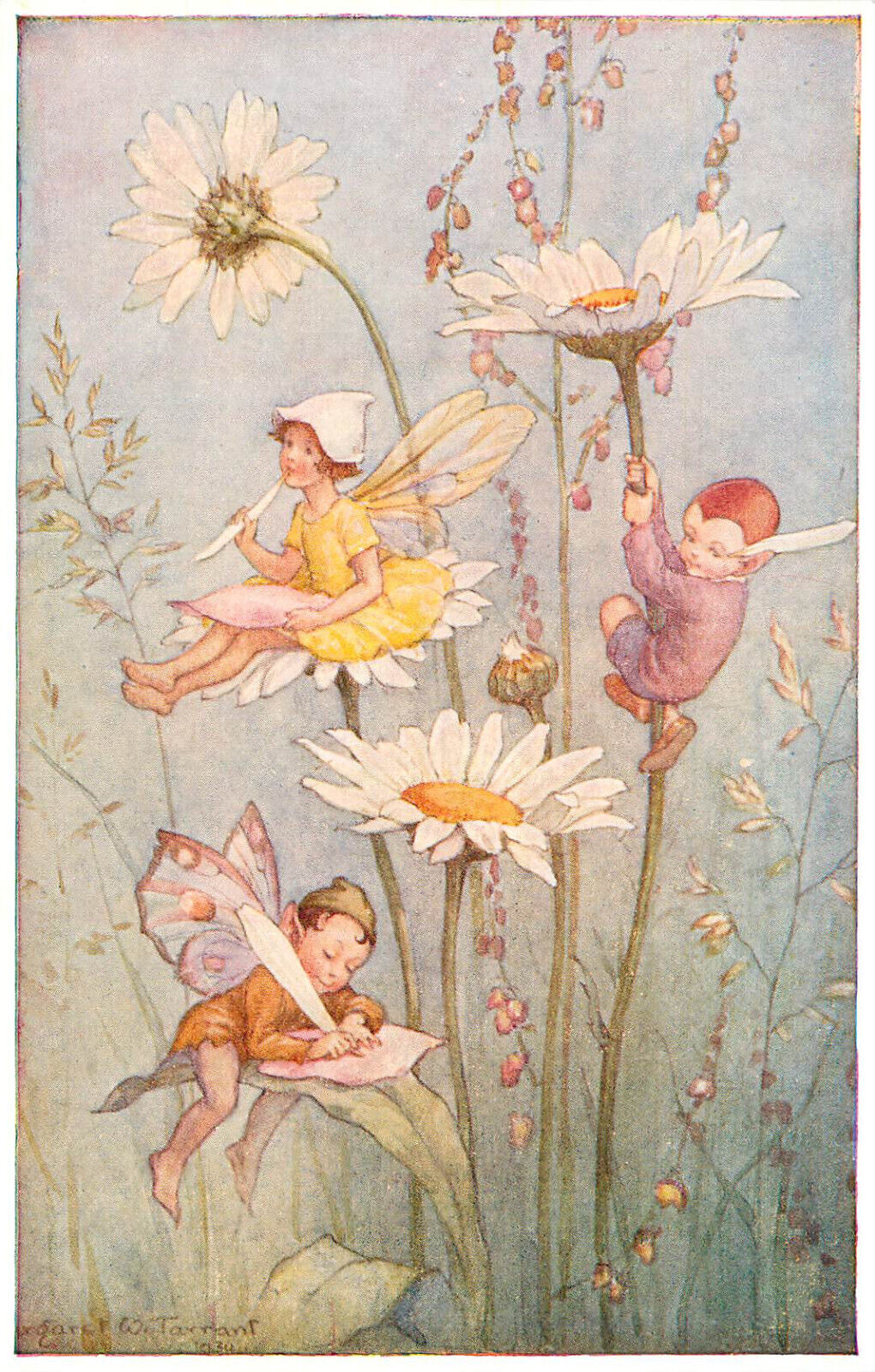 Fantasy Postcard S/A Margaret Tarrant Fairies on Daisies Medici Society 119