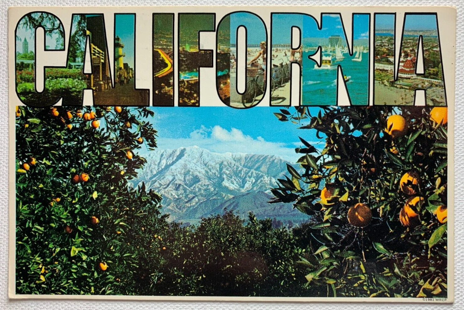 Southern California Winter Postcard 1984 Vintage Posted Chrome Divided Back