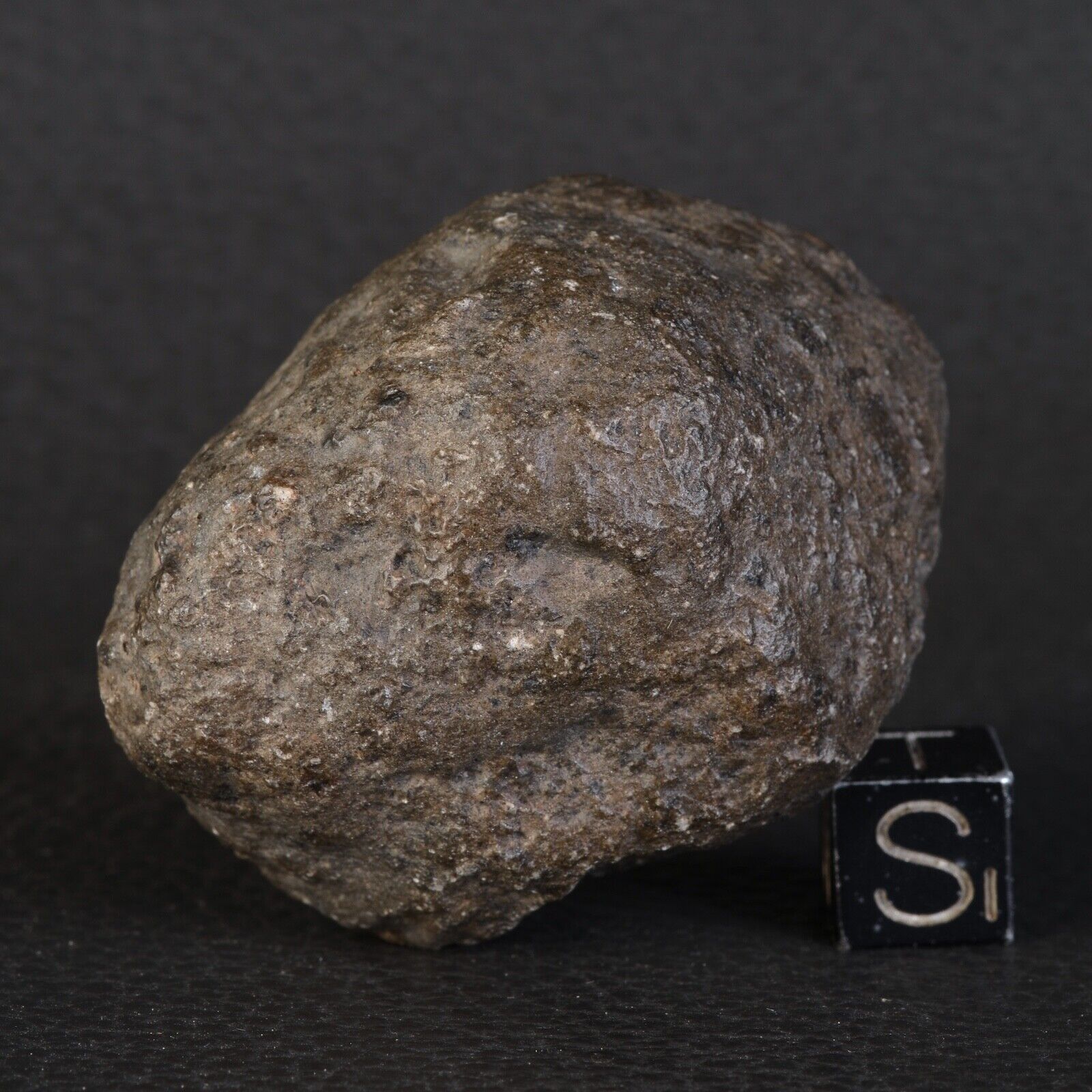 Meteorite Jikharra 001 Of 78,23 G Achondrite Eucrite Melt Breccia Hed #D82.1-22
