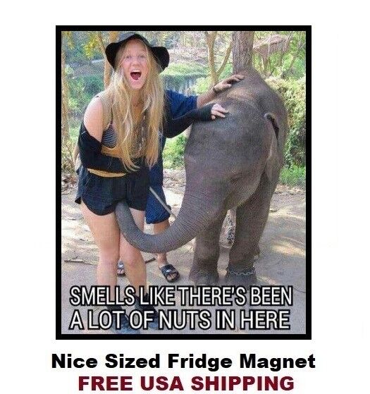 561 -Funny Humor Elephant Nuts Refrigerator Fridge Magnet