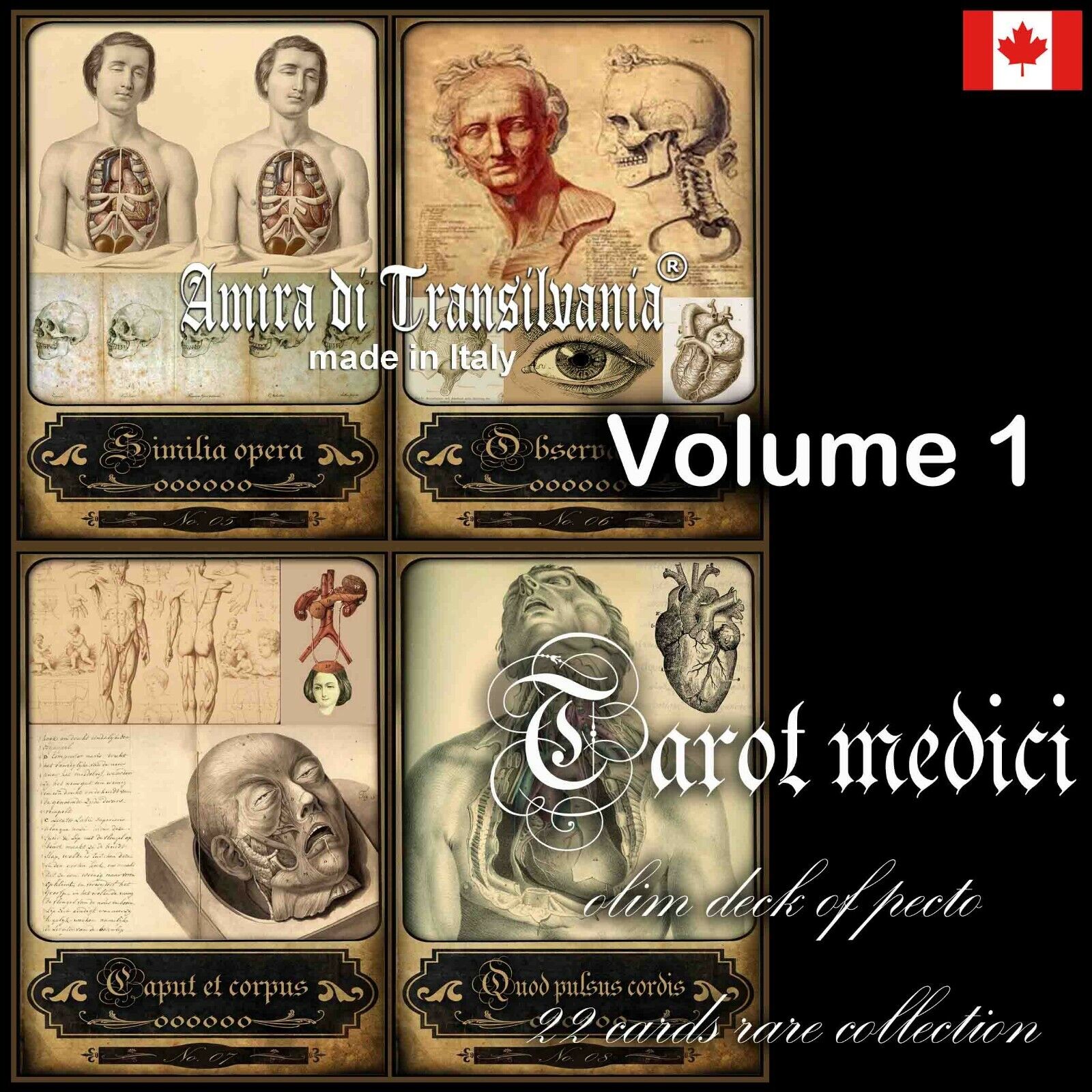 antique anatomy tarot card cards deck vintage medicine surgery apothecary oracle