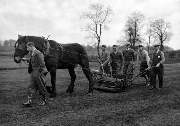 Members Birmingham Football team follow a horse which pulls a mach- 1930s Photo