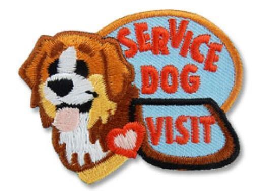 Boy Girl Cub Disabled SERVICE DOG VISIT Blind Fun Patches Badges SCOUT GUIDES
