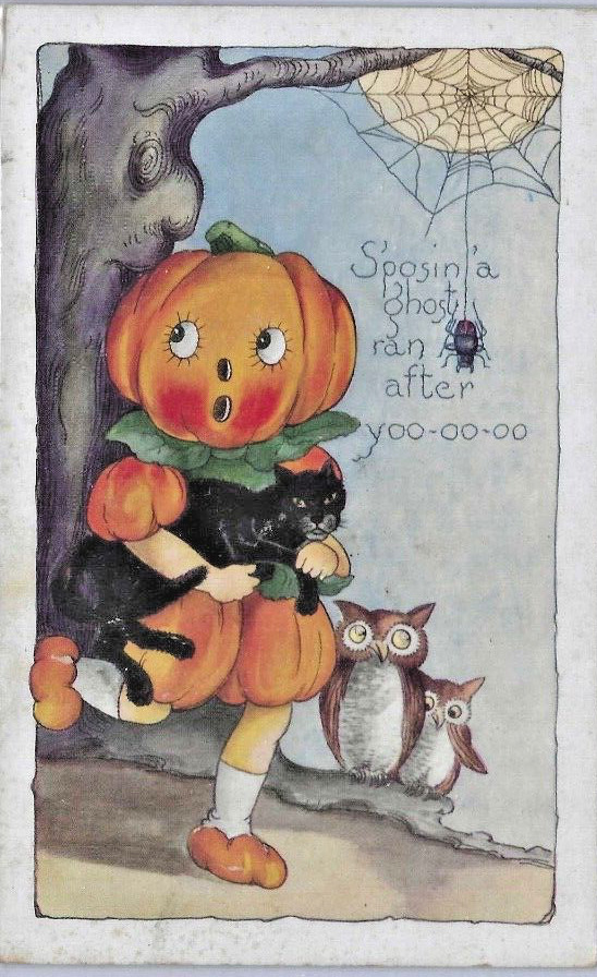 Halloween S\'posin a Ghosty Ran After Spider Goblin Owl Cat Whitney WH24 PostCard