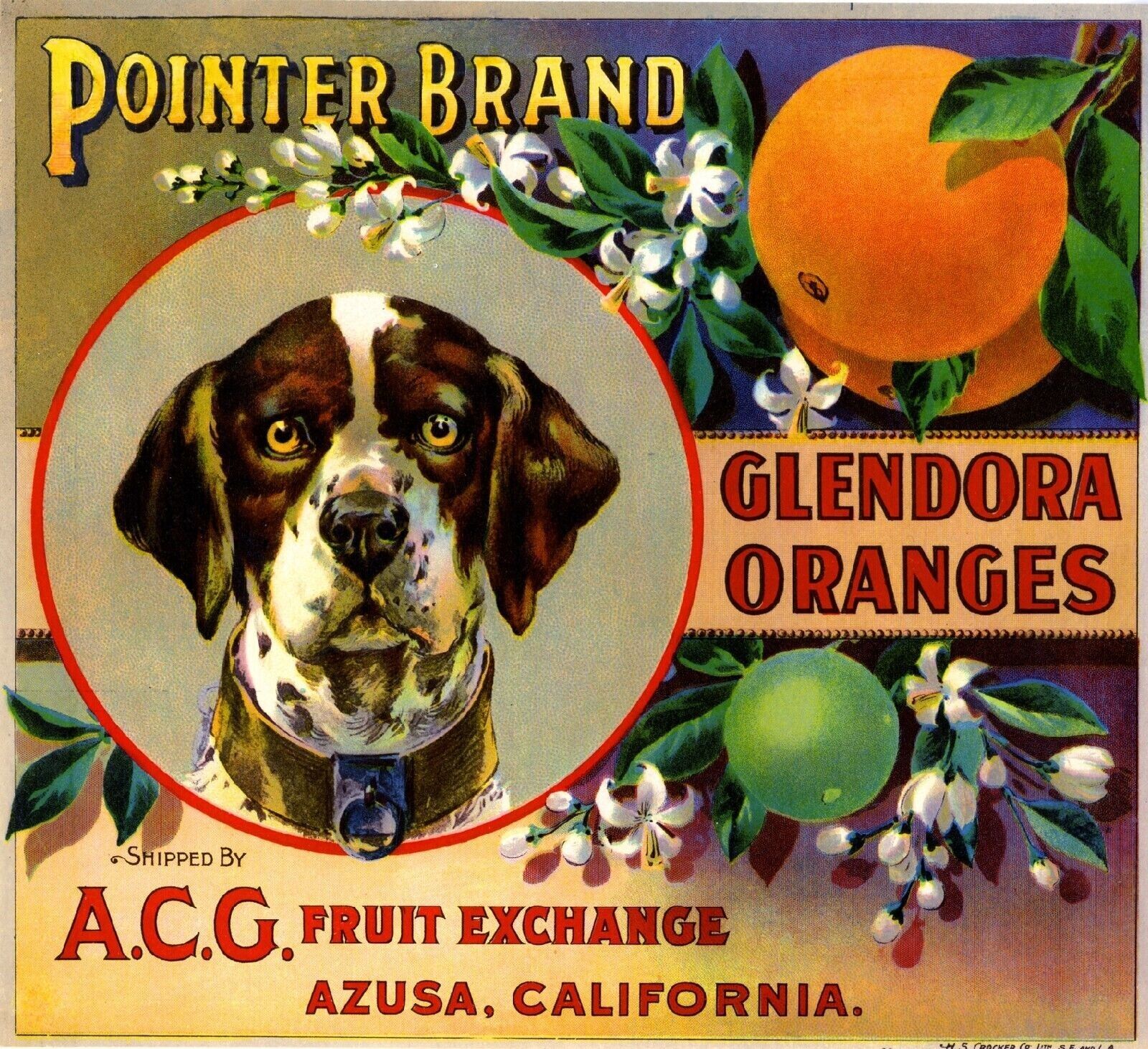 Pointer Brand Oranges Glendora German Dog Citrus Fruit Crate Label Art Print