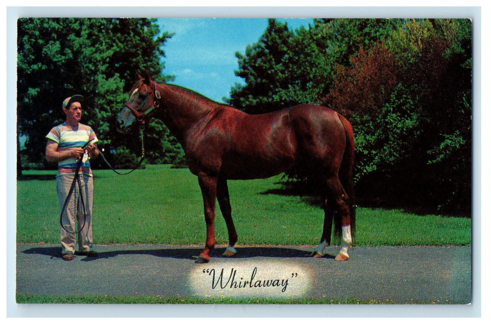 c1950s Whirlaway Calumet Farm's Triple Crown Winner Lexington KY Postcard