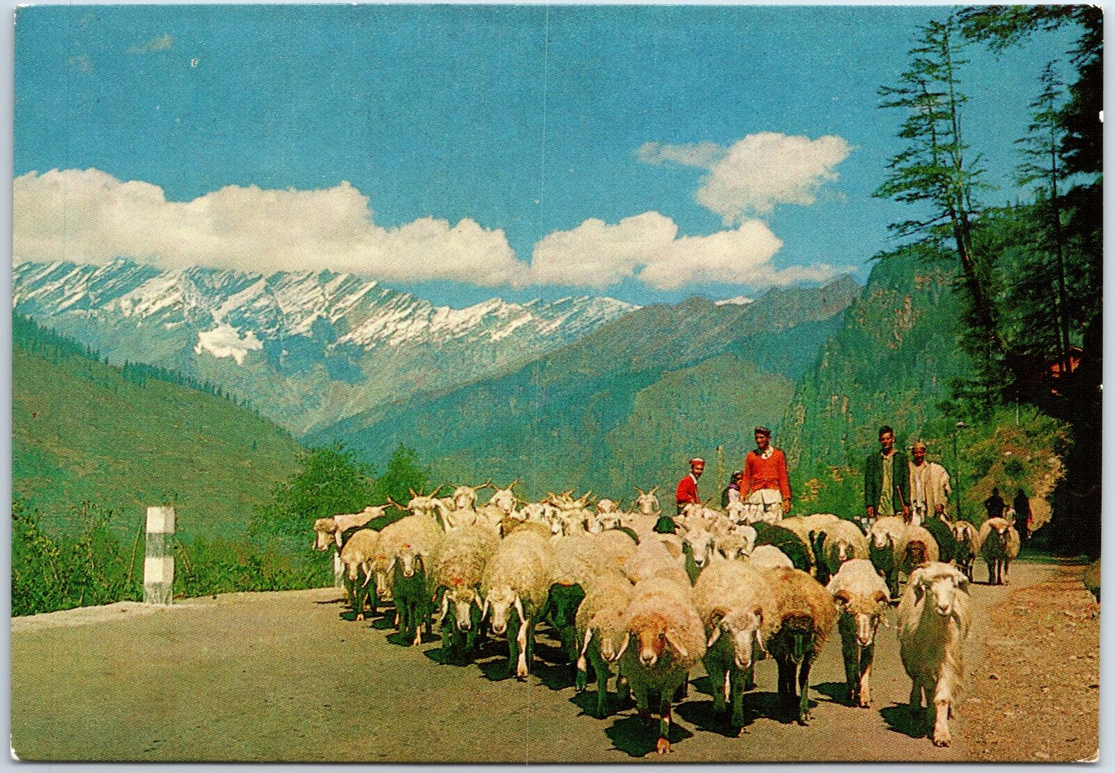 VINTAGE CONTINENTAL SIZED POSTCARD MANALI IN THE HIMALAYAS INDIA POSTED 1973