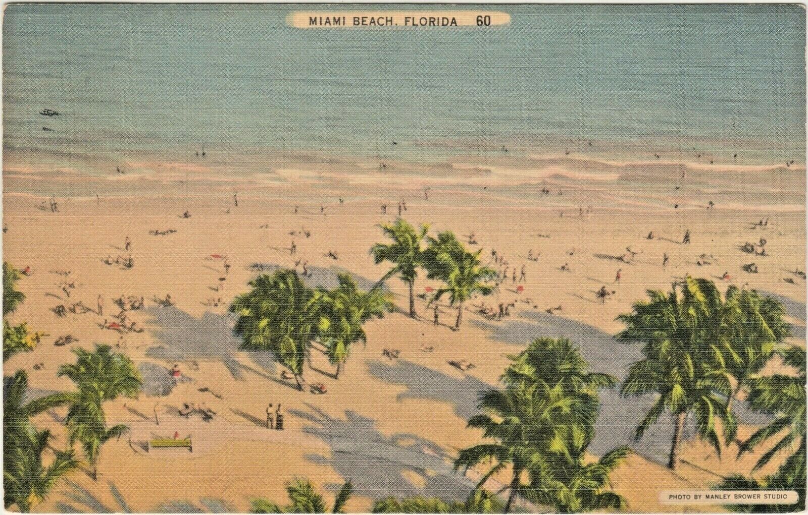 Miami Beach, Florida, Warm, Sparkling waters of Atlantic Ocean & Cocoanut Palms