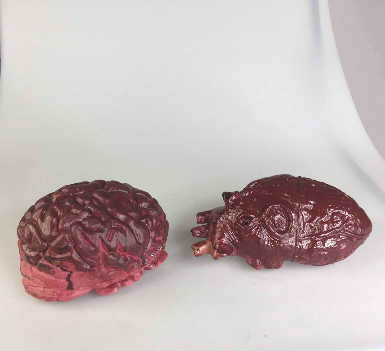 Halloween Brain and Heart Life Size Props Rubber Bloody Organs Lab Remains