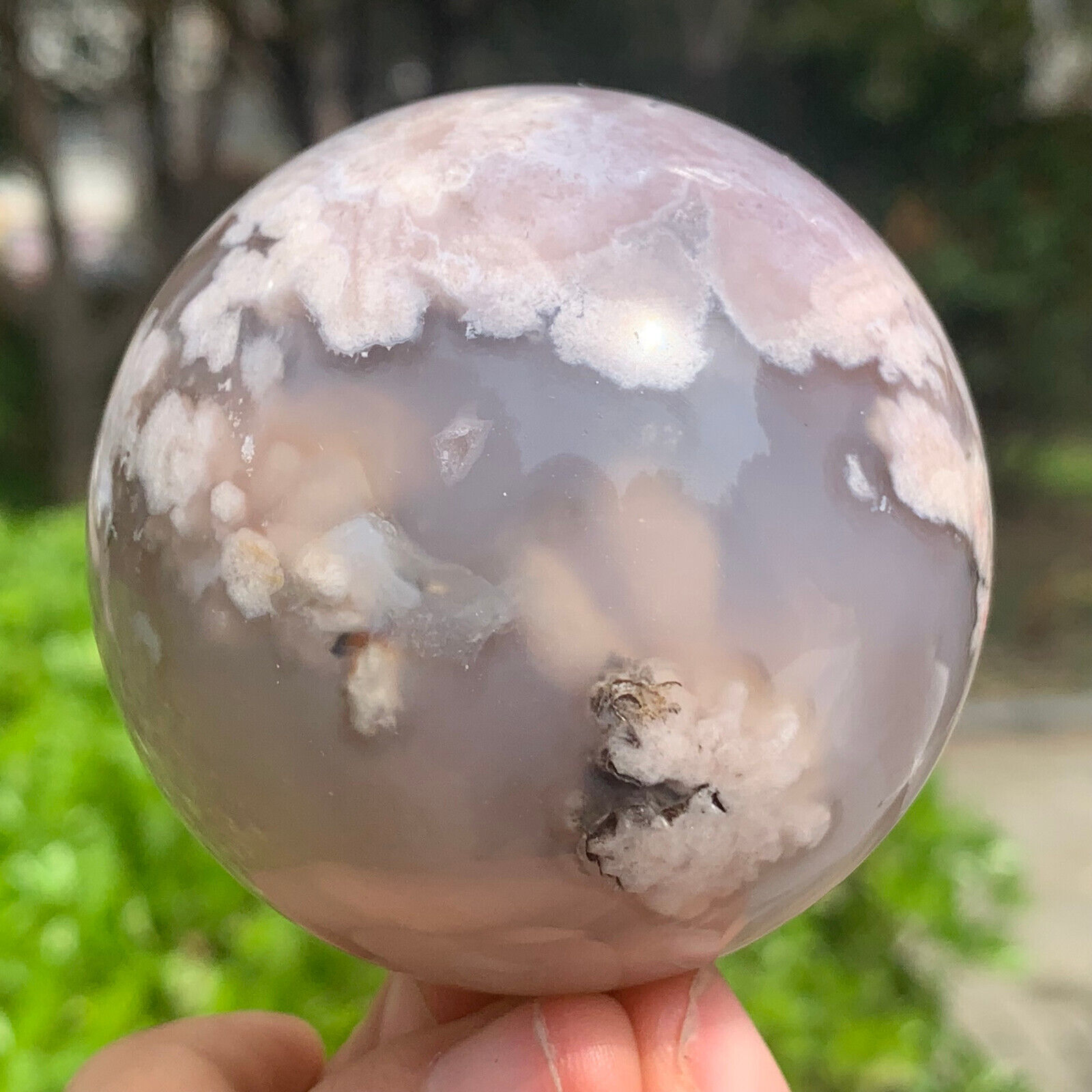 327G  Natural black cherry blossom agate quartz crystal ball treatment